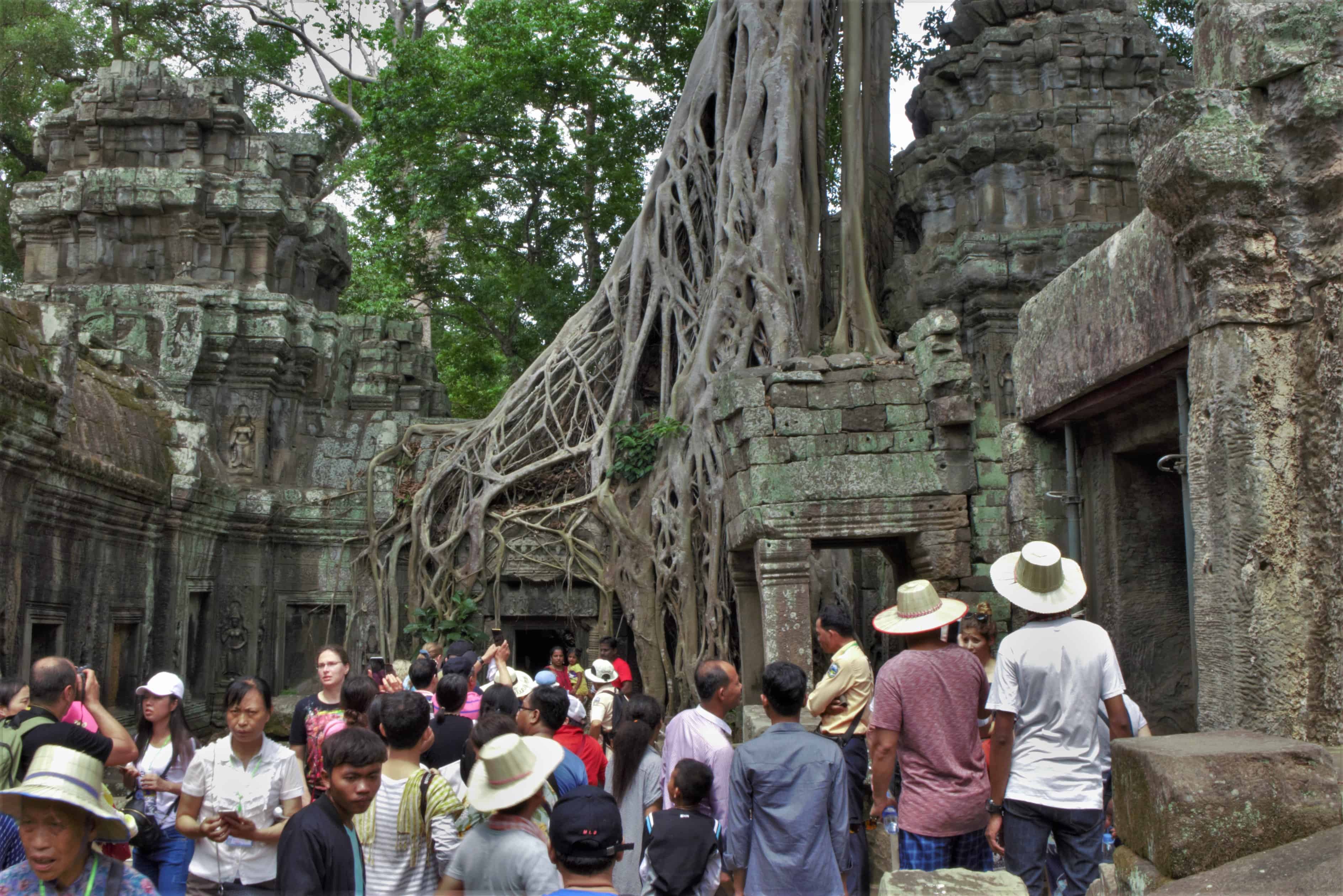 Ta Prohm, zwiedzanie Angkor Wat