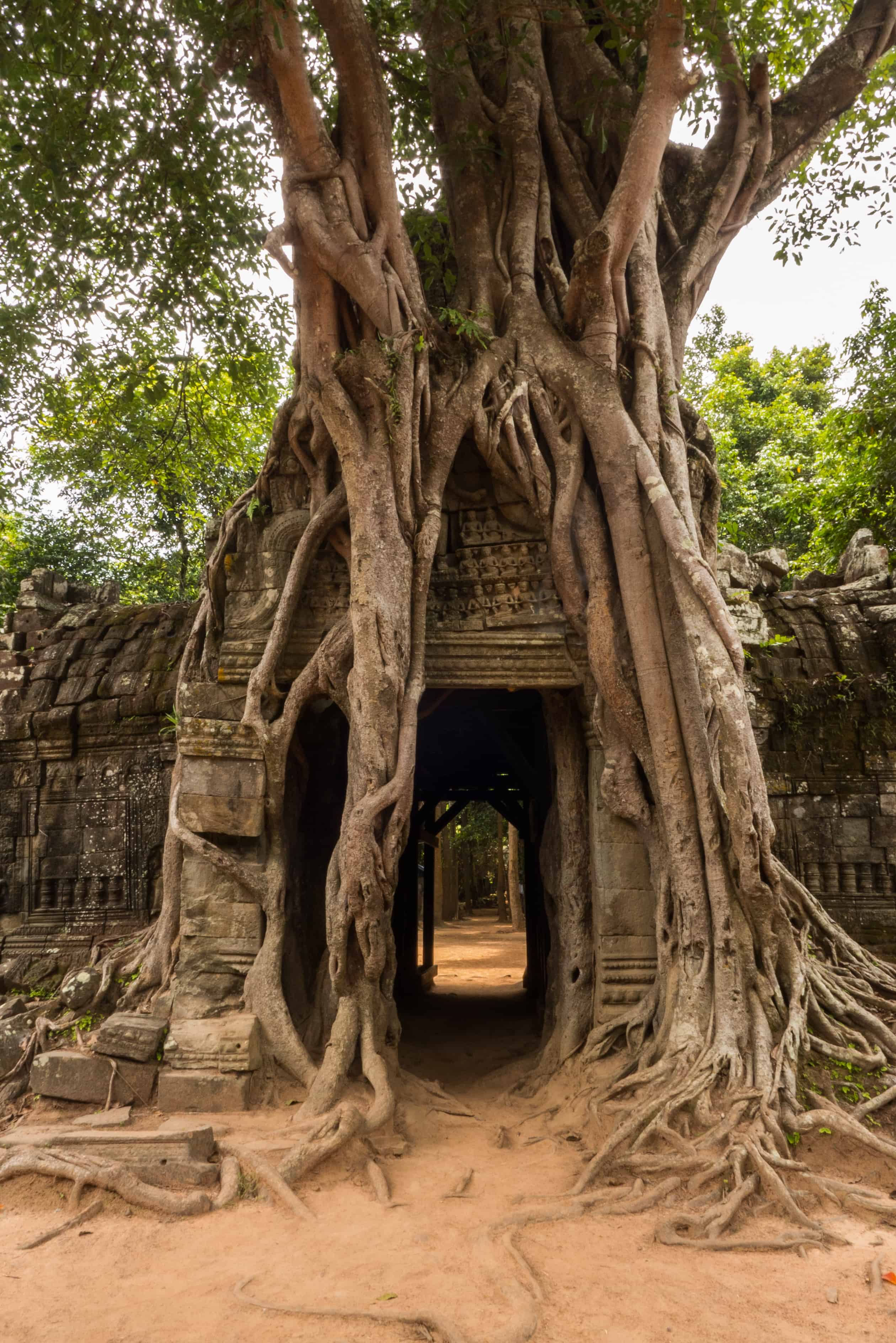 Ta Som, zwiedzanie Angkor Wat