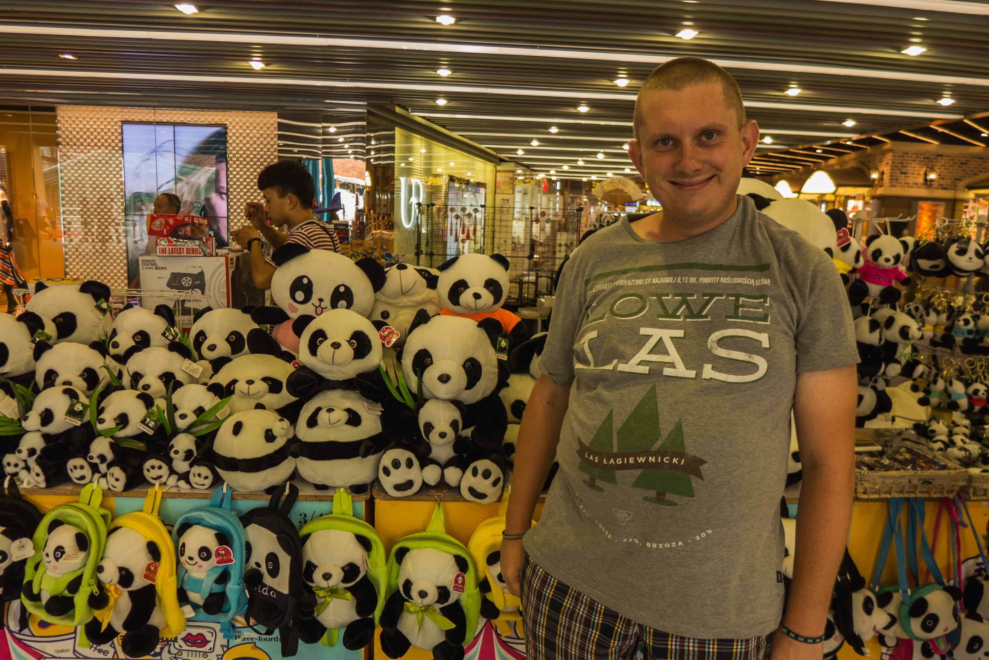 pandy z Chengdu 